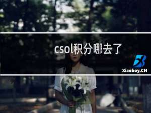 csol积分哪去了