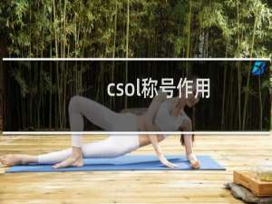 csol称号作用