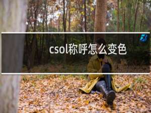 csol称呼怎么变色