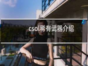 csol稀有武器介绍