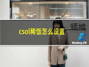 csol稀饭怎么设置