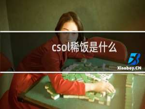 csol稀饭是什么