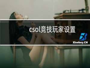 csol竞技玩家设置