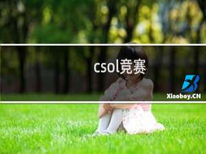 csol竞赛
