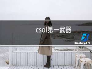 csol第一武器