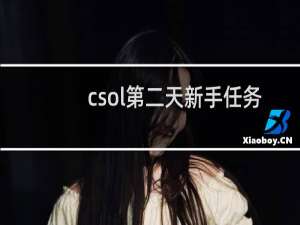 csol第二天新手任务