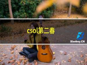 csol第二春