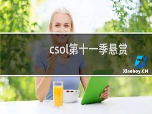 csol第十一季悬赏