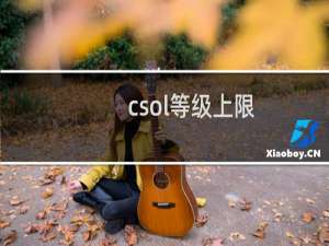 csol等级上限