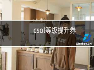 csol等级提升券