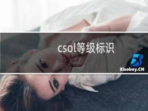 csol等级标识