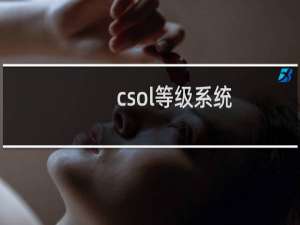 csol等级系统