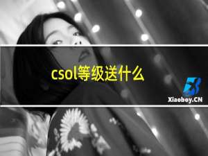 csol等级送什么