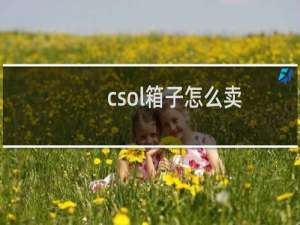 csol箱子怎么卖