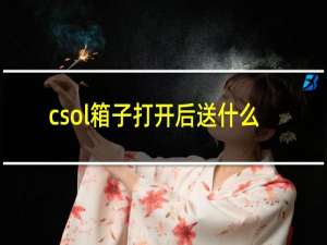 csol箱子打开后送什么