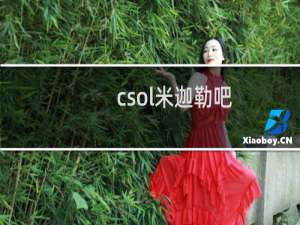 csol米迦勒吧