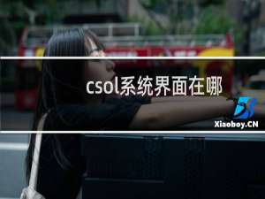 csol系统界面在哪