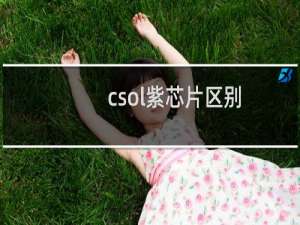 csol紫芯片区别