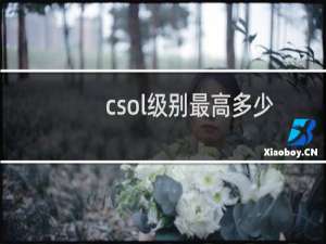 csol级别最高多少