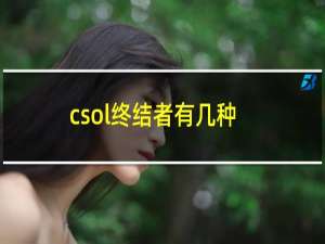 csol终结者有几种