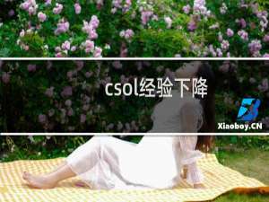 csol经验下降