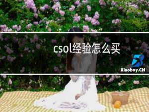 csol经验怎么买