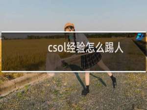 csol经验怎么踢人