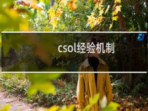 csol经验机制
