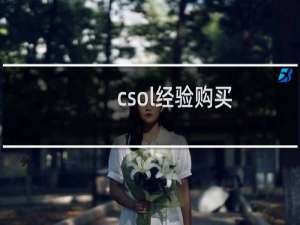 csol经验购买