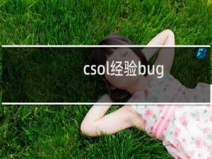 csol经验bug