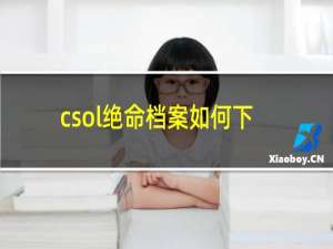 csol绝命档案如何下