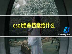 csol绝命档案给什么