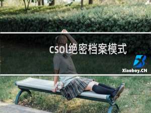 csol绝密档案模式