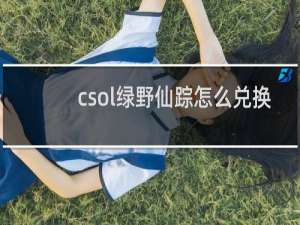 csol绿野仙踪怎么兑换