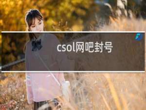 csol网吧封号