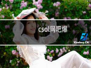 csol网吧爆