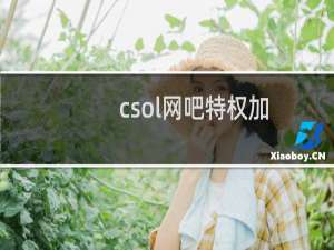 csol网吧特权加
