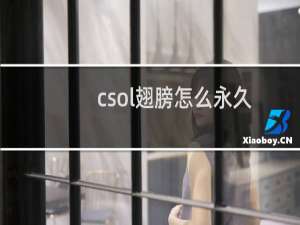 csol翅膀怎么永久