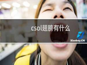 csol翅膀有什么