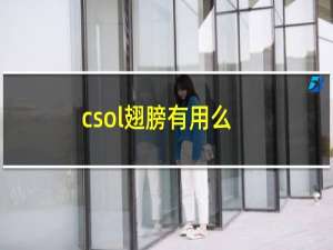 csol翅膀有用么