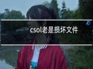 csol老是损坏文件