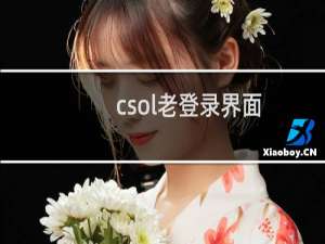 csol老登录界面