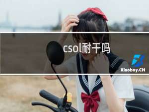 csol耐干吗