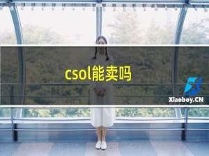 csol能卖吗