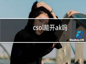 csol能开ak吗