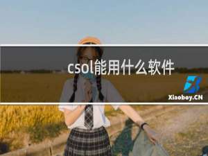 csol能用什么软件