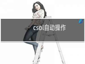 csol自动操作