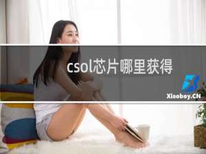csol芯片哪里获得