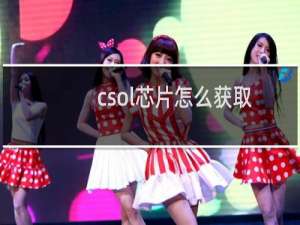 csol芯片怎么获取