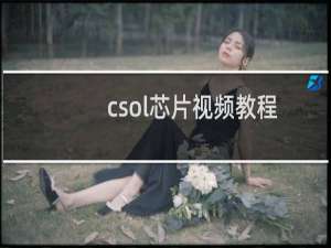 csol芯片视频教程